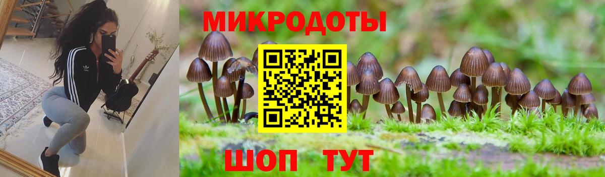 Галлюциногенные грибы мухоморы  Галлюциногенные грибы Psilocybe  Вход с VPN  Ростов-на-Дону 