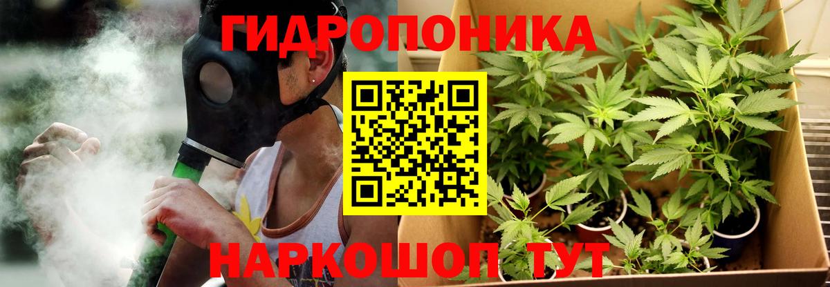 Каннабис семена  Вход с VPN  Шишки марихуана THC 21%  Бошки Шишки сатива  Ростов-на-Дону  Конопля AK-47 